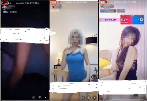 成人性视频3免费,免费观看的诱惑与风险